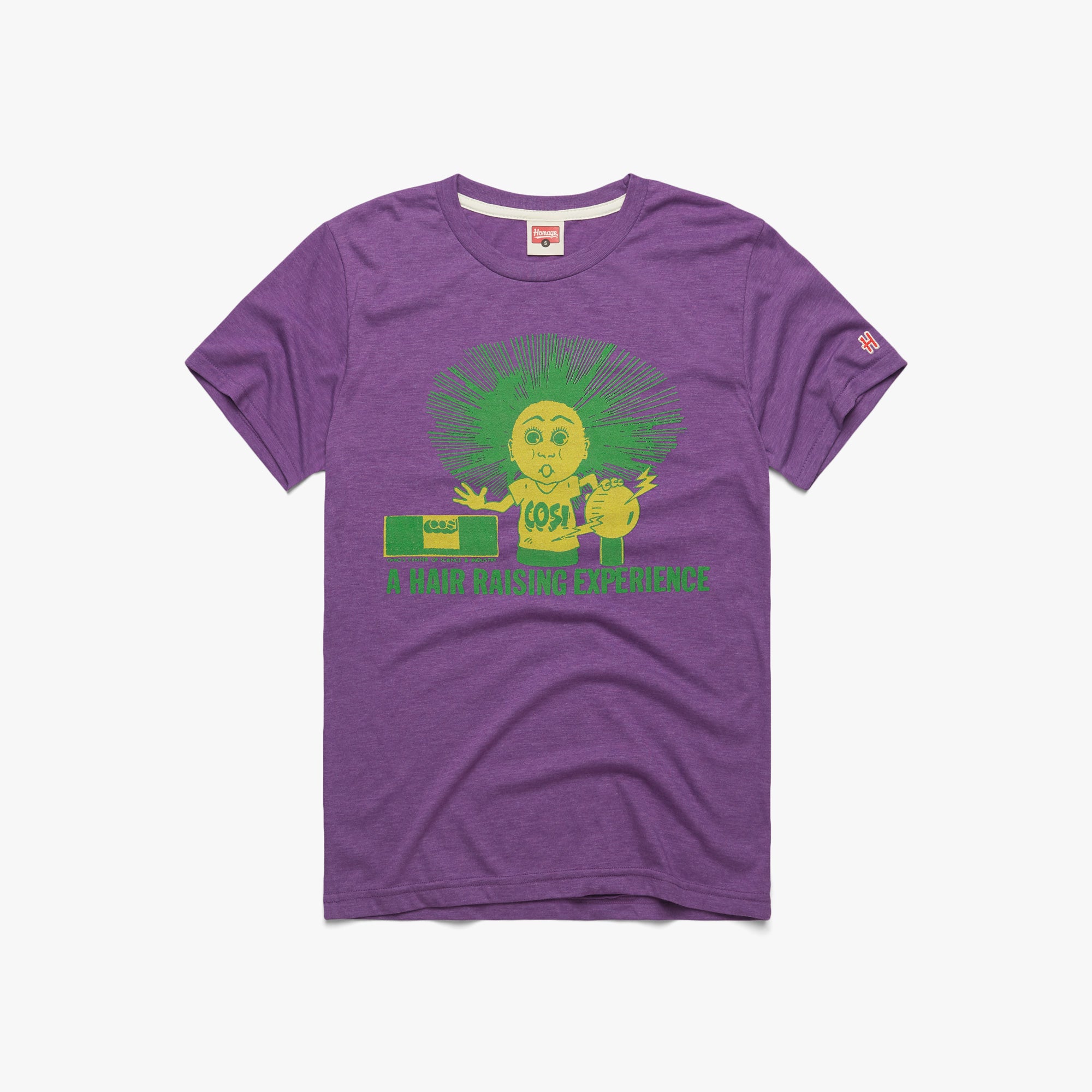 A Hair Raising Experience 01010128427 royal purple flat.jpg A Hair Raising Experience