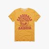 Arizona Cardinals Desert Landscape Vintage NFL T-Shirt