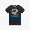 Carolina Panthers Big Helmet