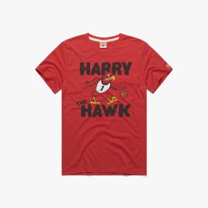 Harry The Hawk