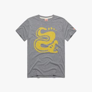 Hidden Temple Silver Snakes