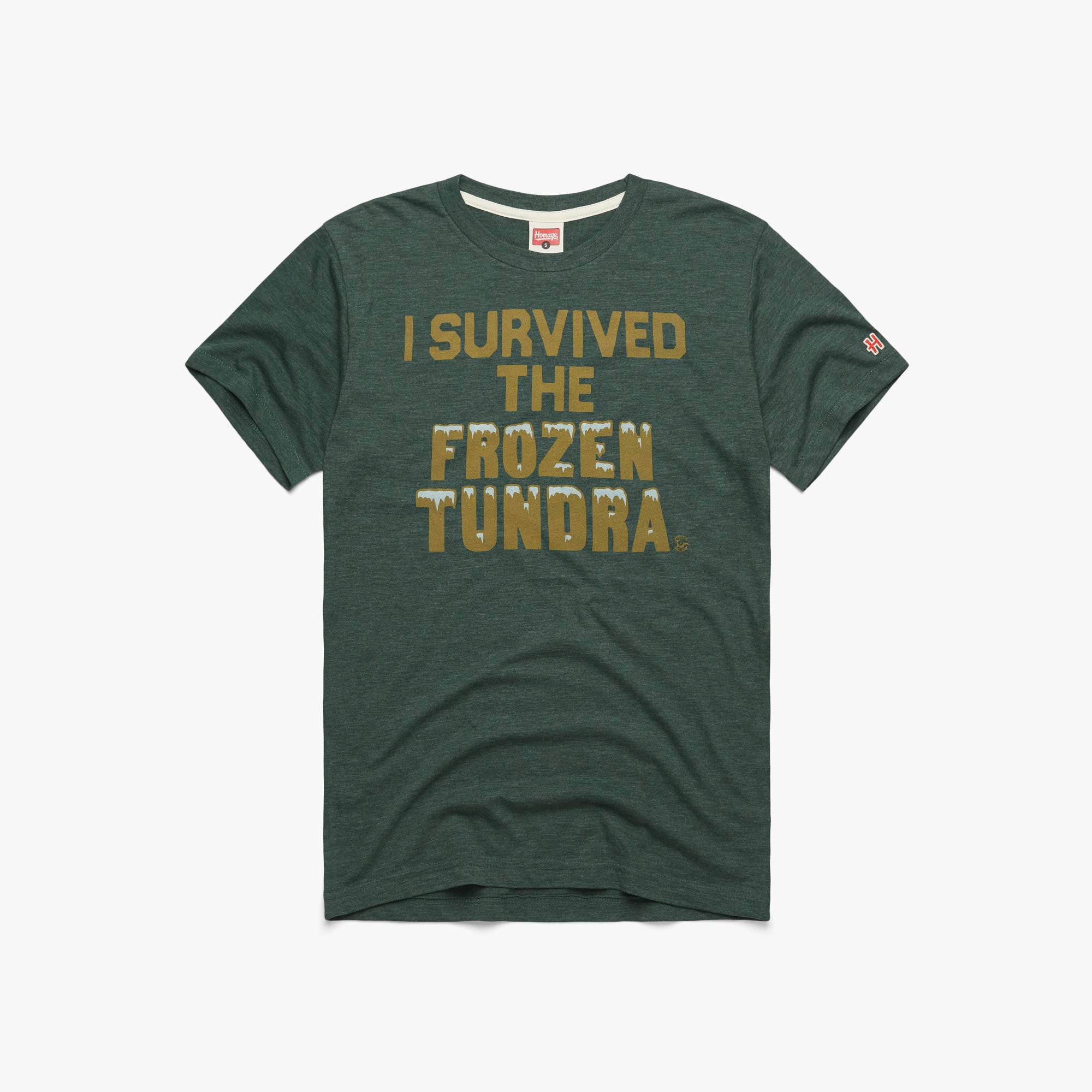 I Survived the Frozen Tundra 01011293824 pine flat 1.jpg I Survived the Frozen Tundra