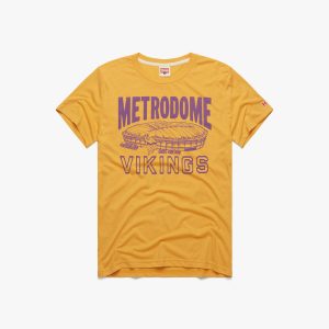 Minnesota Vikings Metrodome