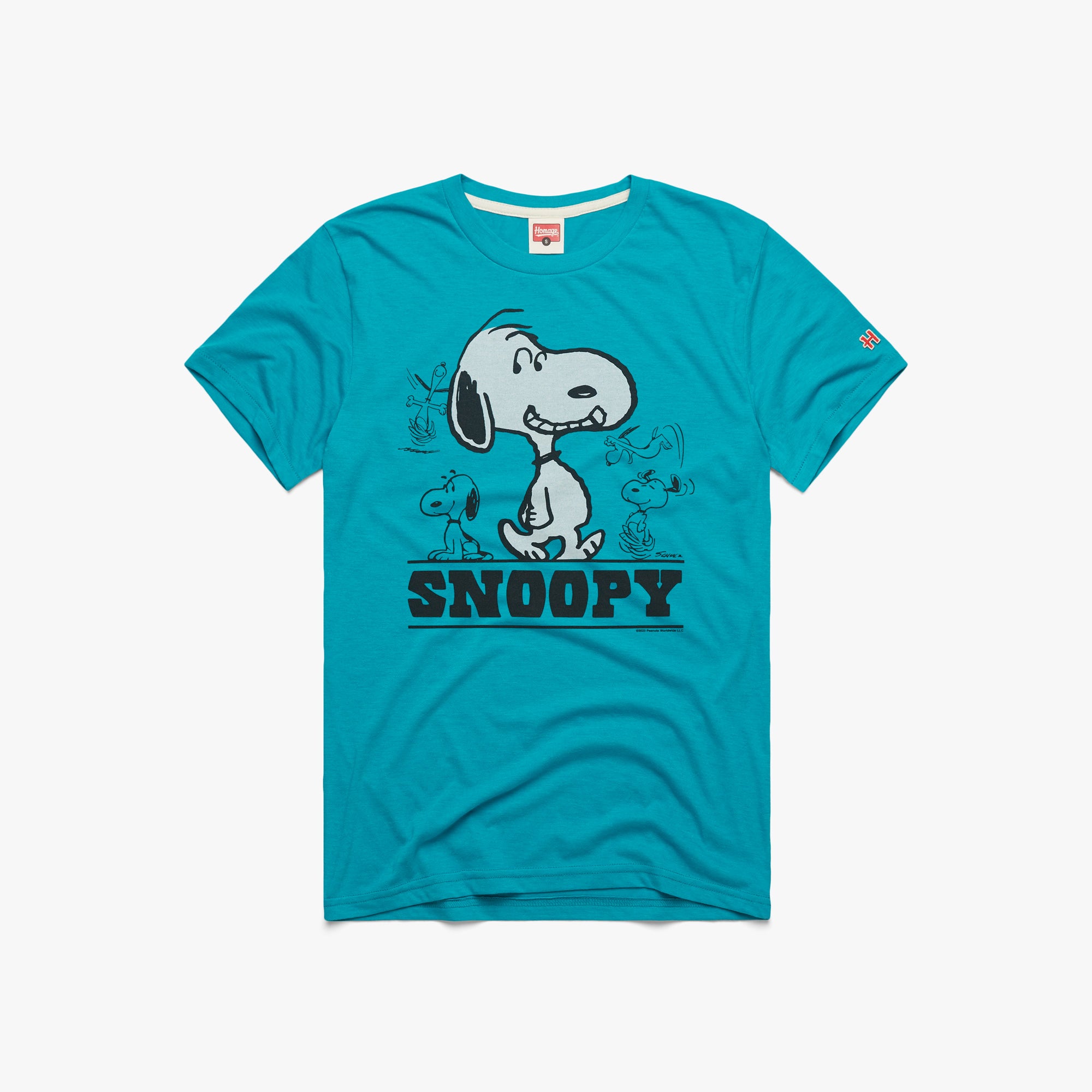 Peanuts Snoopy 01011585326 teal flat 1.jpg Peanuts Snoopy