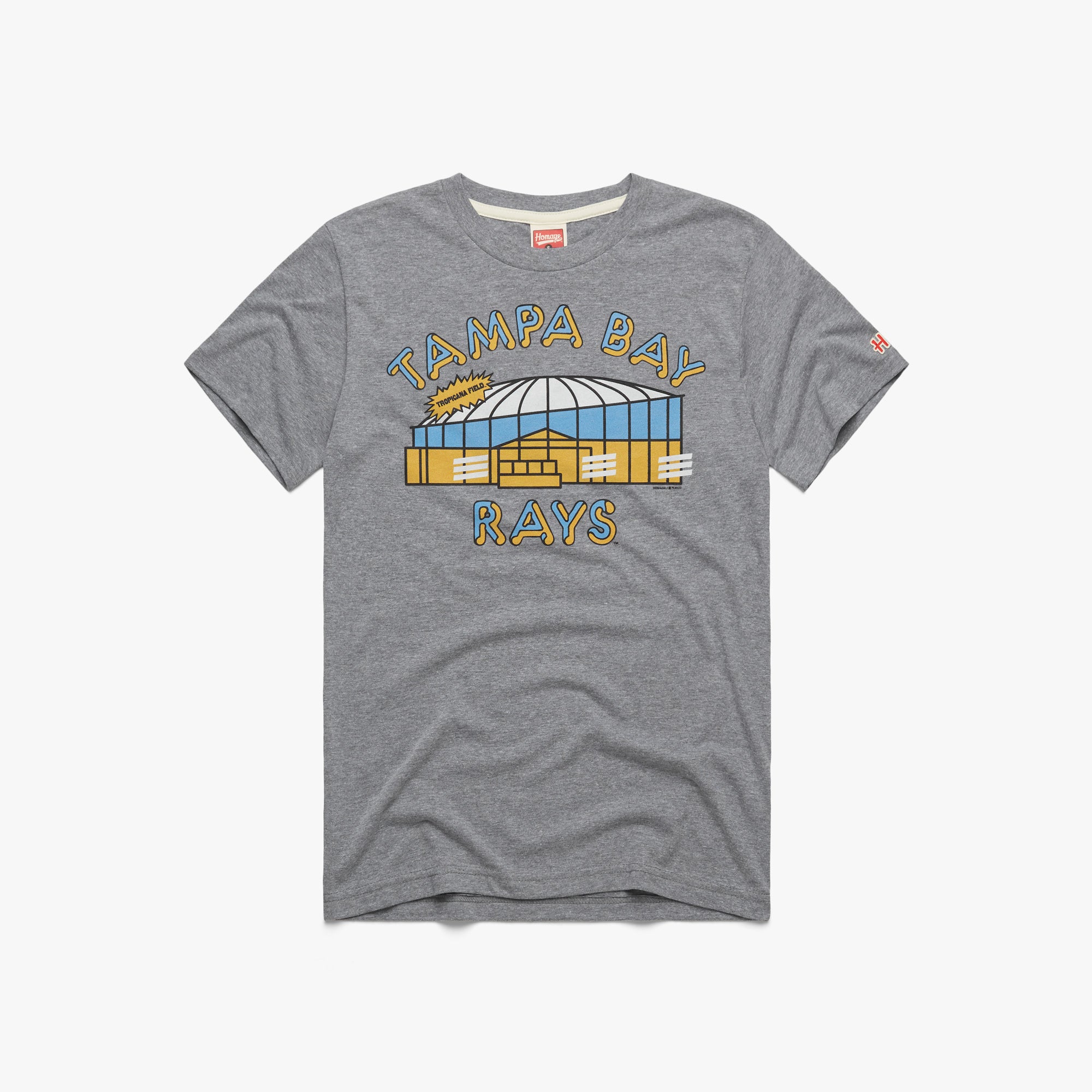 Tampa Bay Rays Tropicana Field Retro 01011468801 grey flat.jpg Tampa Bay Rays Tropicana Field Retro