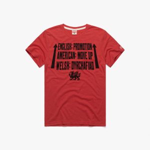 Wrexham AFC Promotion