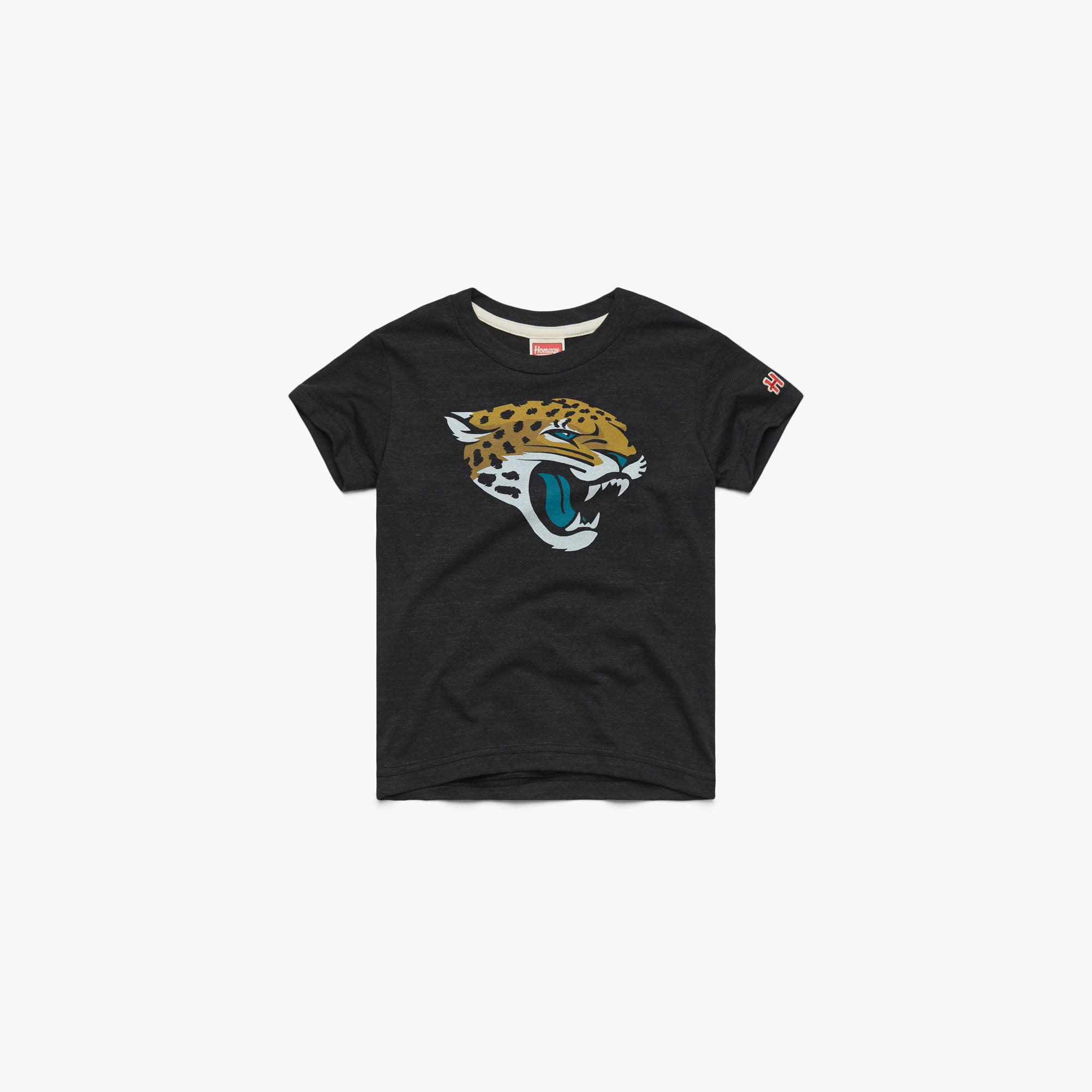 Youth Jacksonville Jaguars 13 03011650930 charcoal flat.jpg Youth Jacksonville Jaguars '13