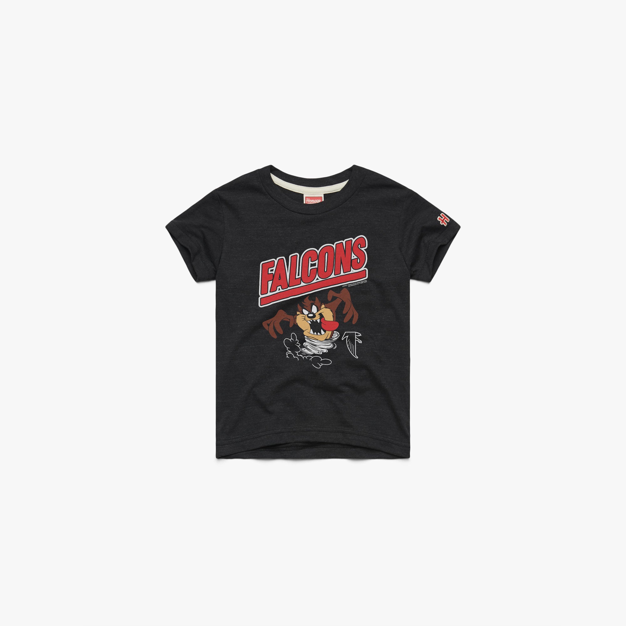 Youth Looney Tunes Taz x Atlanta Falcons 03012161630 Charcoal Flat.jpg Youth Looney Tunes Taz x Atlanta Falcons
