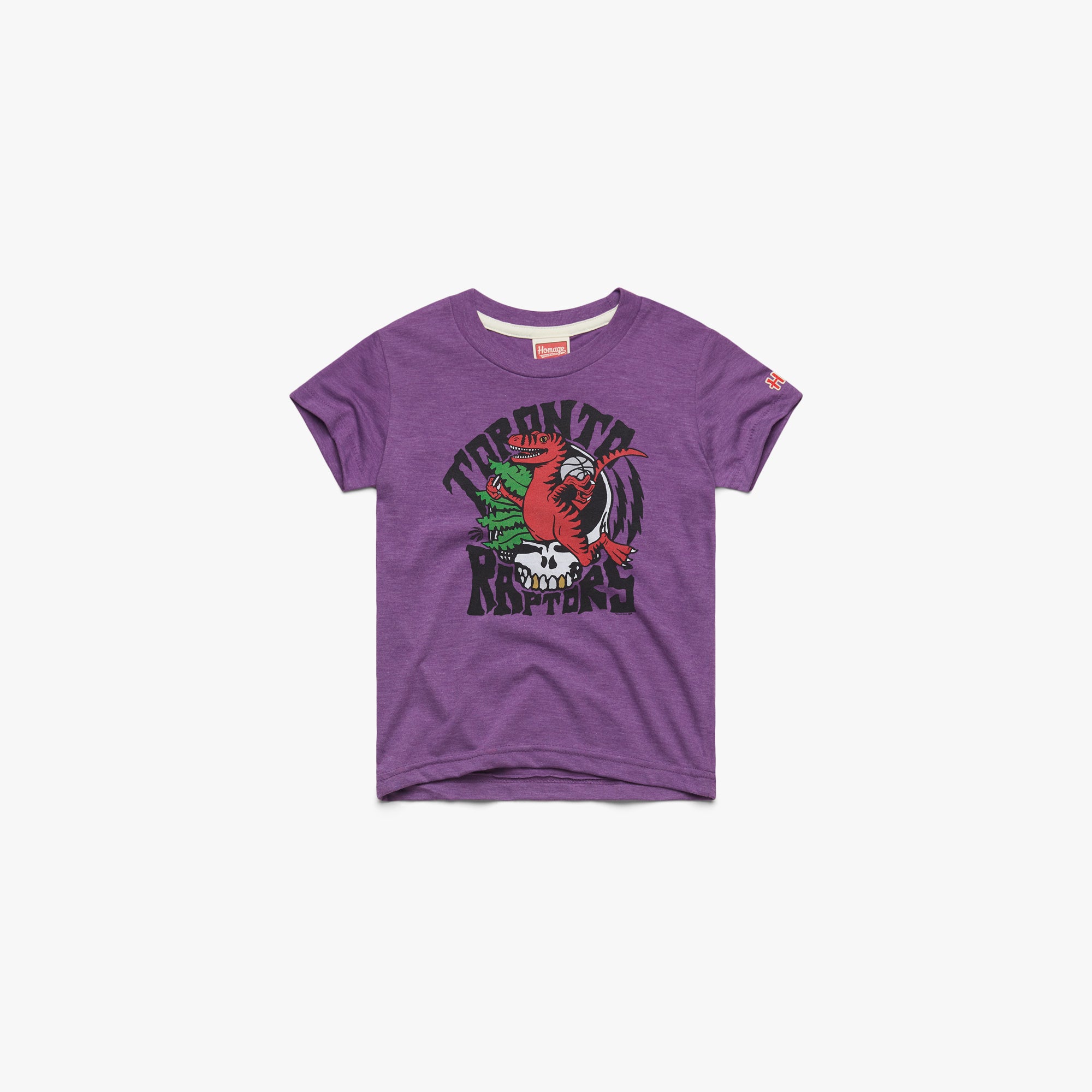 Youth NBA x Grateful Dead x Raptors Skull 03011743927 royal purple flat.jpg Youth NBA x Grateful Dead x Raptors Skull